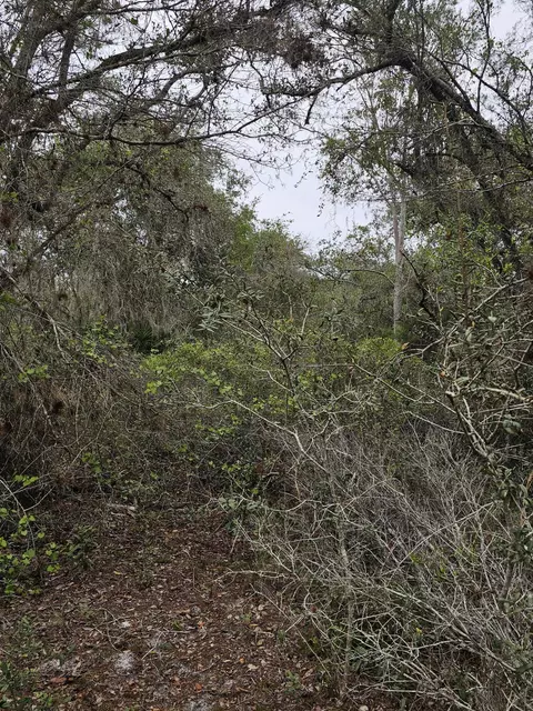 35485 NE 7th Dr, Okeechobee, FL 34972 photo 28