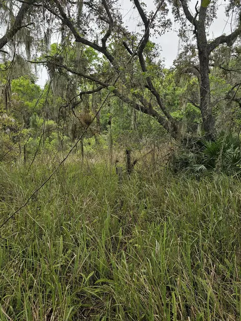 35485 NE 7th Dr, Okeechobee, FL 34972 photo 16