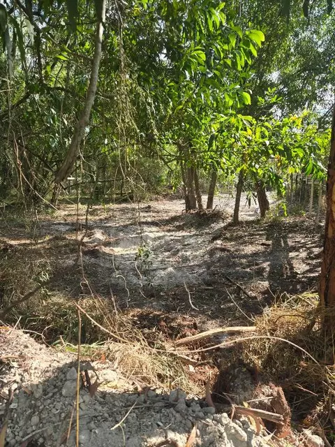 17534 42nd Rd N, The Acreage, FL 33470
