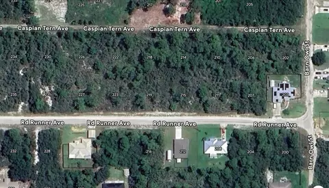 215 Roadrunner Ave, Sebring, FL 33870