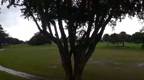 View/Area - 2601 S Course Dr #203, Pompano Beach, FL 33069 photo 1 of 1