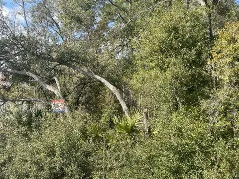 000 Malauka Cir, Ocklawaha, FL 32179