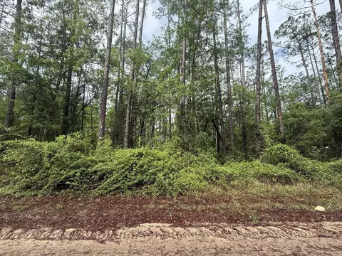 tbd Seminole Ave, Interlachen, FL 32148