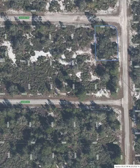100 Tryon Ave NW, Lake Placid, FL 33852