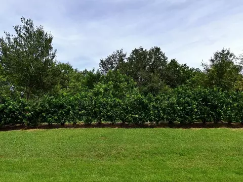 4341 Winding Pl, Fort Pierce, FL 34981