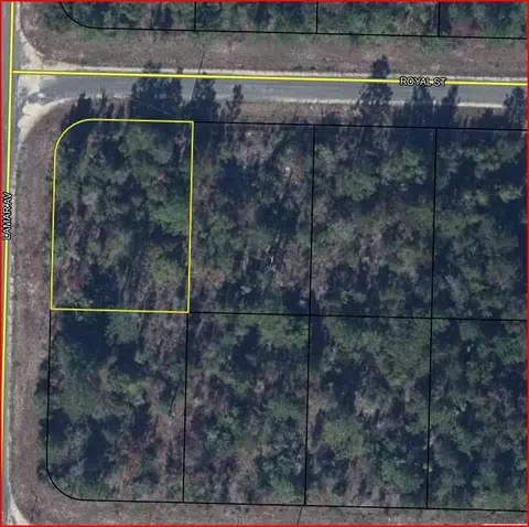 0 Royal Street St, Chipley, FL 32428