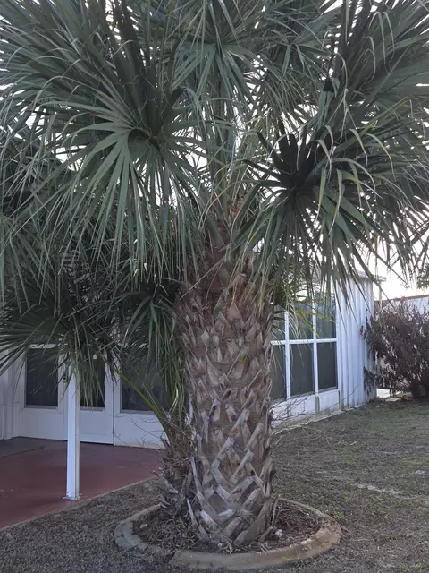 2915 Roger St, Sebring, FL 33872 photo 27