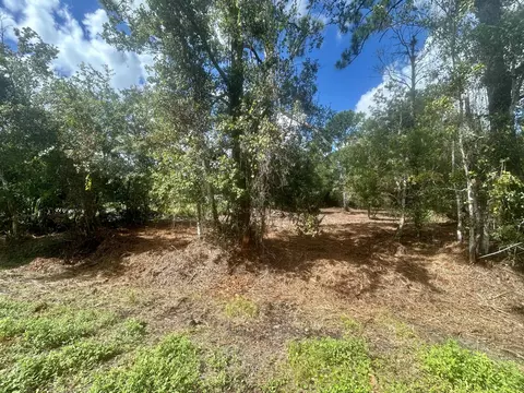 1465 NE 342nd Trl, Okeechobee, FL 34972 photo 2