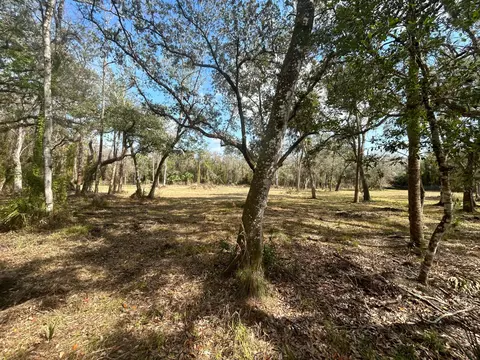 855 NW 368th Dr, Okeechobee, FL 34972 photo 4