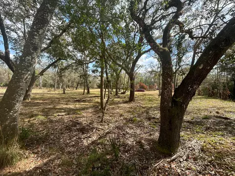 855 NW 368th Dr, Okeechobee, FL 34972 photo 5