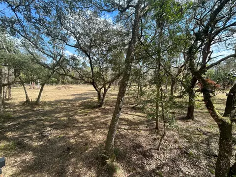 855 NW 368th Dr, Okeechobee, FL 34972 photo 13