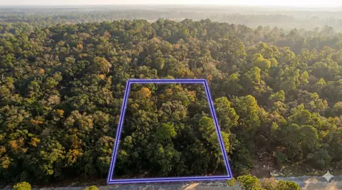 10230 Zigler Ave, Hastings, FL 32145