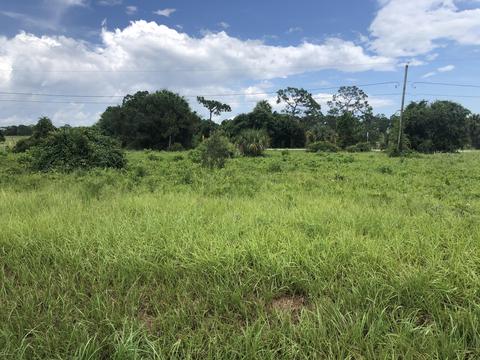 845 SE 40th Ave, Okeechobee, FL 34974 photo 1
