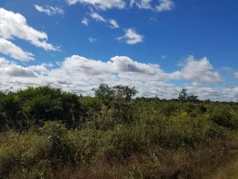 15780 NW 258th St, Okeechobee, FL 34972 photo 1