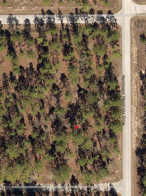 Nnnn NW Geranium Avenue, Ocala, FL 34472