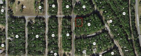 1442 W Partridge St, Citrus Springs, FL 34434