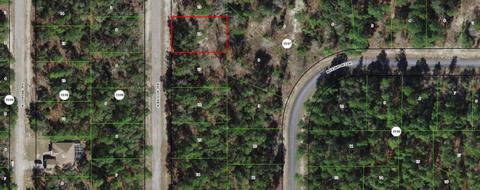 6525 N Baylor Ter, Citrus Springs, FL 34433