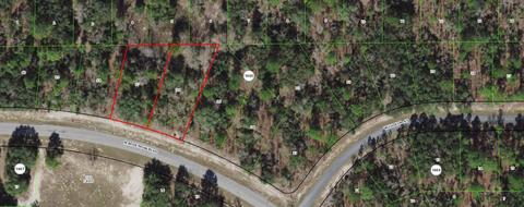 6585 N Bedstrow Blvd, Citrus Springs, FL 34434