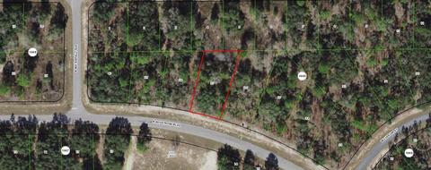 6587 N Bedstrow Blvd, Citrus Springs, FL 34434