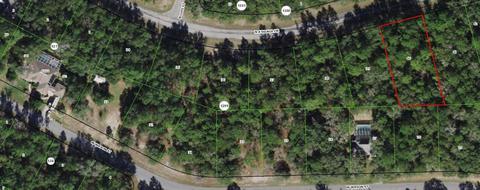 10218 N Athenia Dr, Citrus Springs, FL 34434