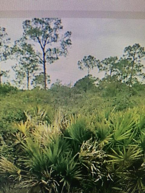 00 Murcott Blvd E, Loxahatchee, FL 33470