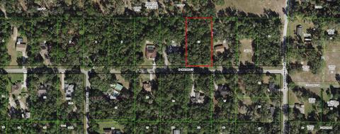 1355 E Oriole Ct, Hernando, FL 34442 photo 1