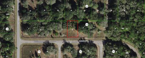 7981 N Addison Rd, Citrus Springs, FL 34434