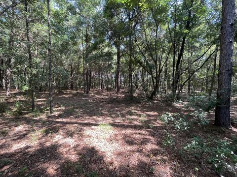 000 SW Marine Blvd, Dunnellon, FL 34431
