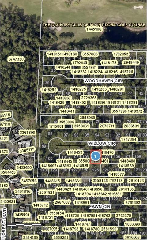 Lot 104 Chase Court, Mount Dora, FL 32757