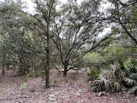 5660 N Matheson Dr, Citrus Springs, FL 34434