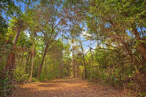 3139 B Rd, Loxahatchee Groves, FL 33470