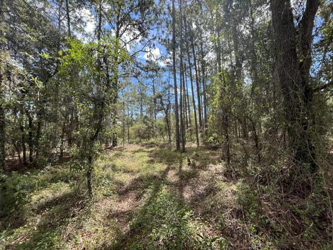 Tbd NW Ridgewood Road, Dunnellon, FL 34431