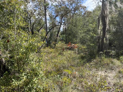 6287 Drake Ave, Keystone Heights, FL 32656