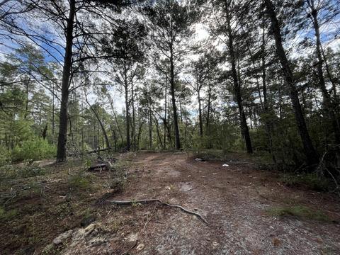 116 Kenny Ln, Florahome, FL 32140