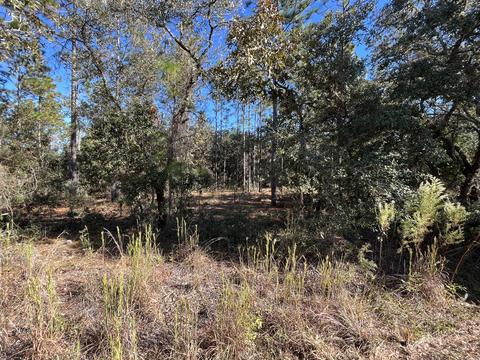 Tbd SW Sea Cliff Sw Avenue, Dunnellon, FL 34431