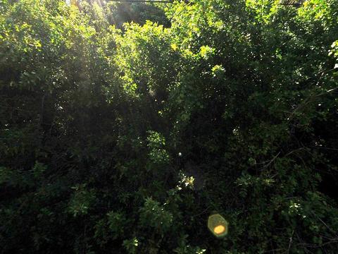 0 N 48 St, Fort Pierce, FL 34947