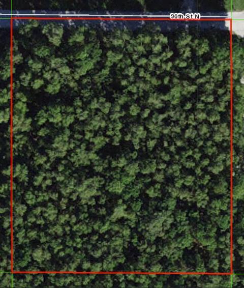 Nnnnn 90th N Street, The Acreage, FL 33470