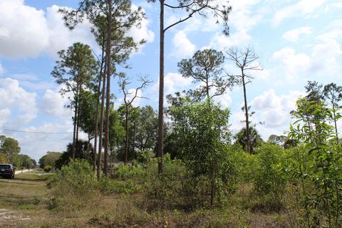 17410 46th N Ct, Loxahatchee, FL 33470