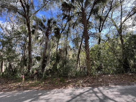 1016 S 12th St, Palatka, FL 32177