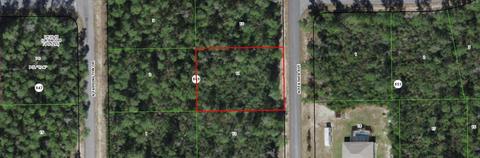 8492 N Feather Ave, Citrus Springs, FL 34433