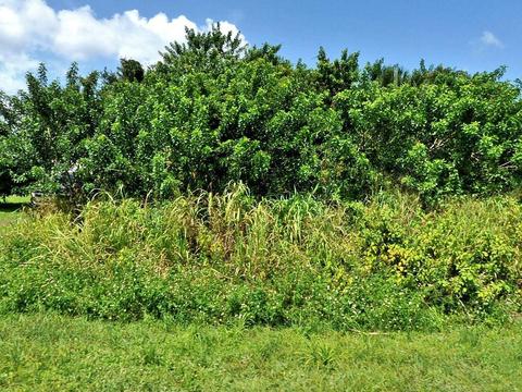 Tbd Grady Drive, Fort Pierce, FL 34946