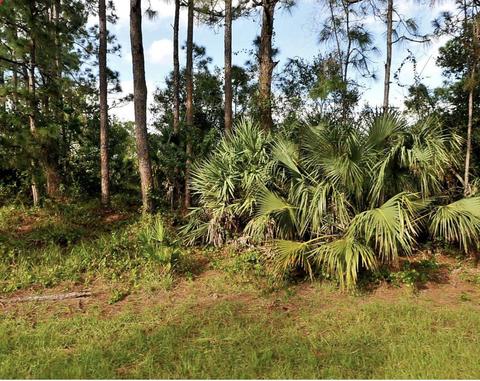 1595 SW Hunnicut Ave, Port Saint Lucie, FL 34953