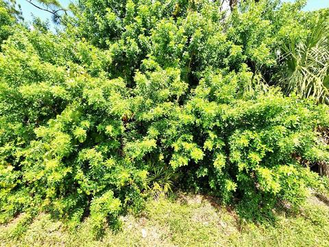 Tbd Rosarita Avenue, Fort Pierce, FL 34946