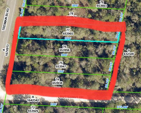 Tbd Treiman Boulevard, Webster, FL 33597