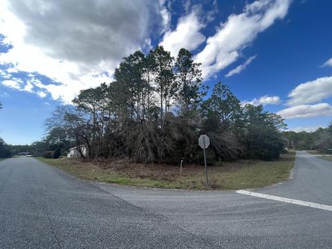 9106 N Gilbert Ter, Citrus Springs, FL 34433