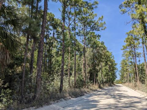 Lot 103 200 Trail, Loxahatchee, FL 33470