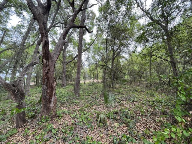 134 Ambrose, Satsuma, FL 32189