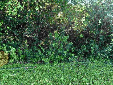 1702 SEbb Ct, Port Saint Lucie, FL 34952