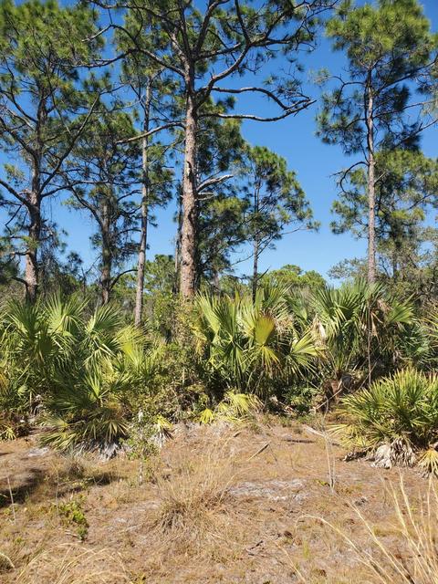 Unassigned Unassigned, Indiantown, FL 34956