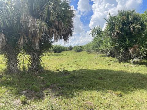 Tbd Antoinette Road, Loxahatchee, FL 33470